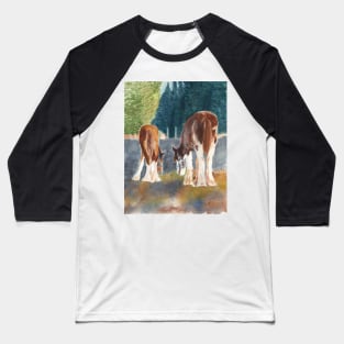 Pasture Butties, Two Clydesdale Colts in Winter Sunlight Baseball T-Shirt